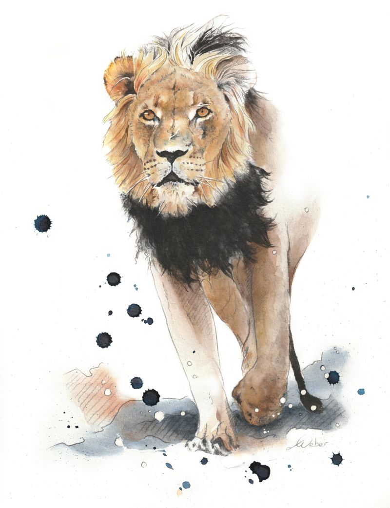 The King - a Paintings by Aqualowe